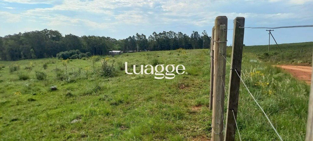 Terreno, 221 m² - Foto 2