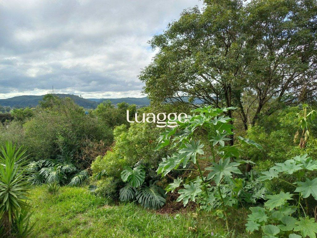 Terreno, 314 m² - Foto 3