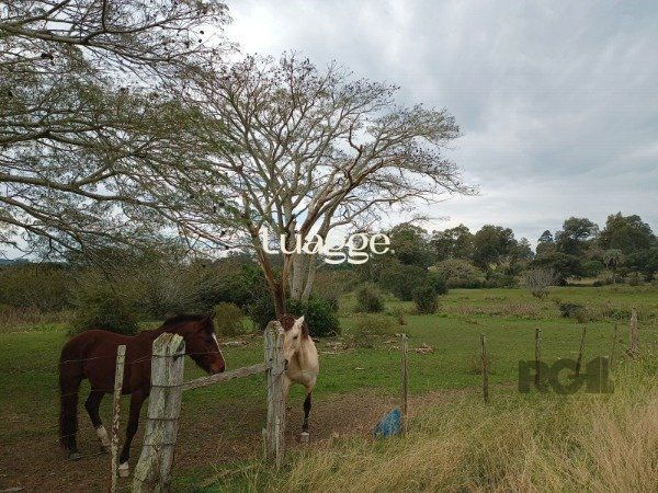 Sítio à venda com 1 quarto, 62m² - Foto 21