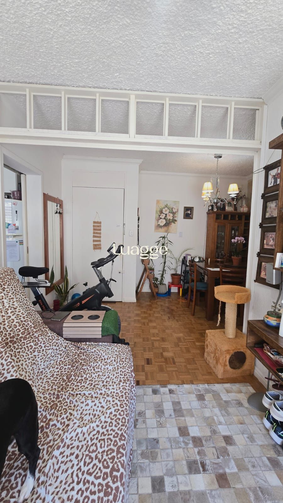 Apartamento, 3 quartos, à venda, 69 m², Vila Nova - Porto Alegre — foto 3