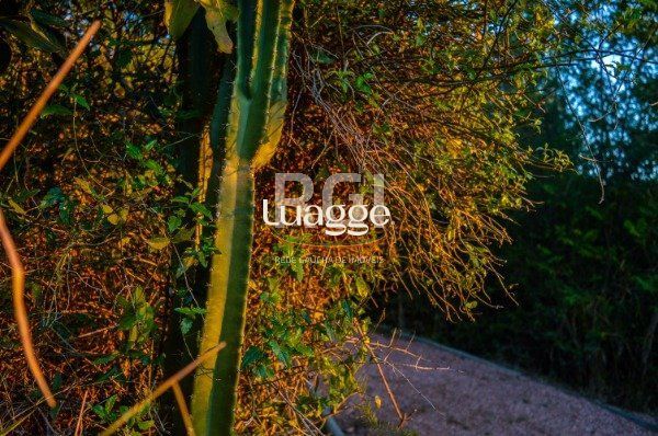 Terreno, 572 m² - Foto 48