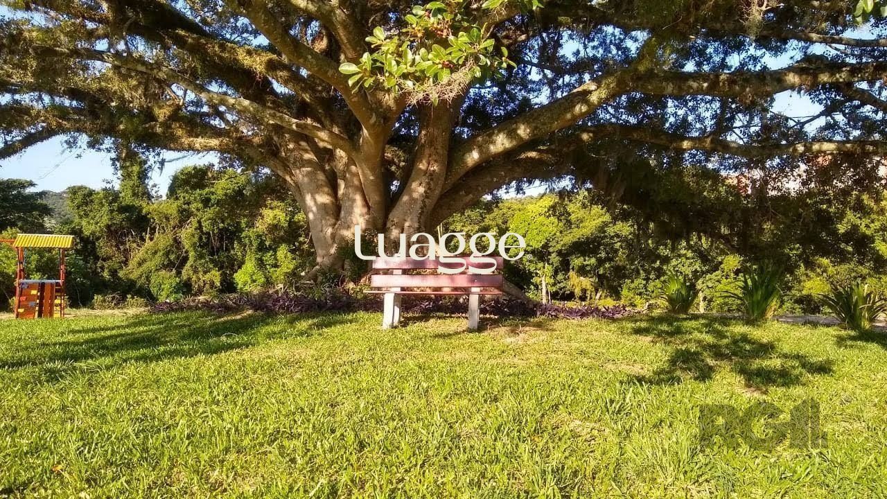 Terreno, 246 m² - Foto 3