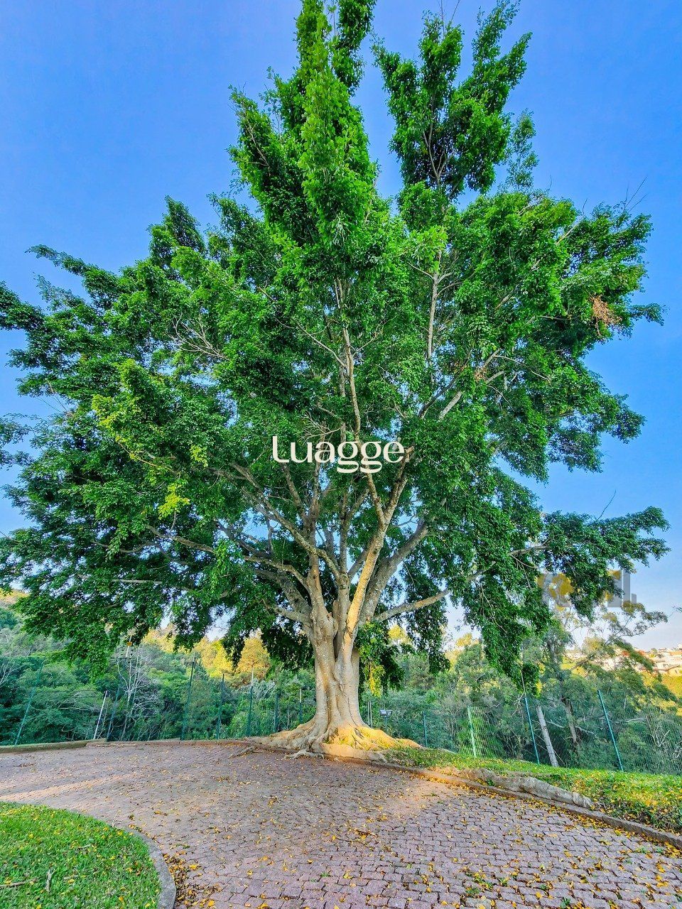 Casa de Condomínio à venda com 5 quartos, 1320m² - Foto 23
