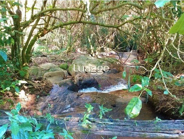 Casa de Condomínio à venda com 4 quartos, 199m² - Foto 50