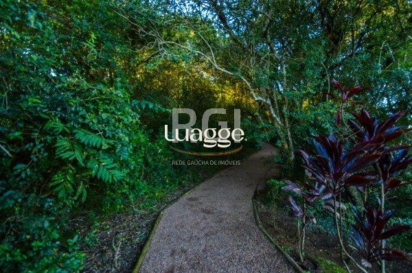 Terreno, 572 m² - Foto 17