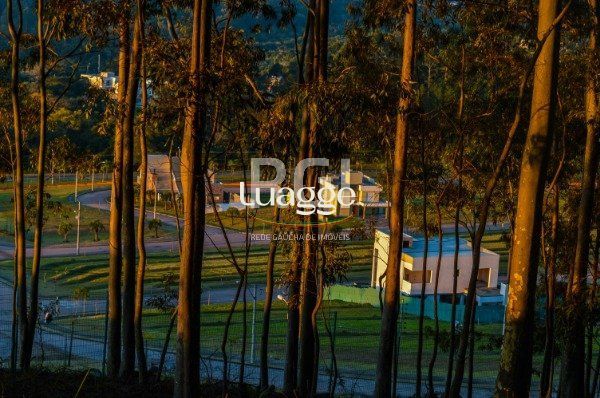 Terreno, 572 m² - Foto 46