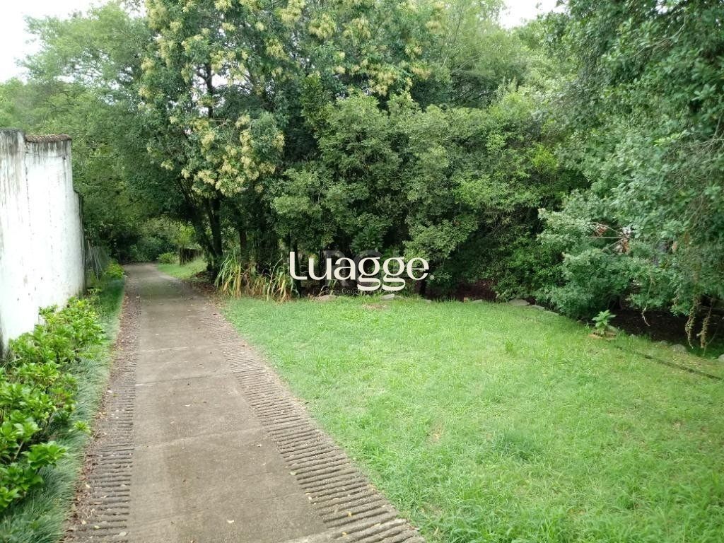 Sítio à venda com 3 quartos, 300m² - Foto 25