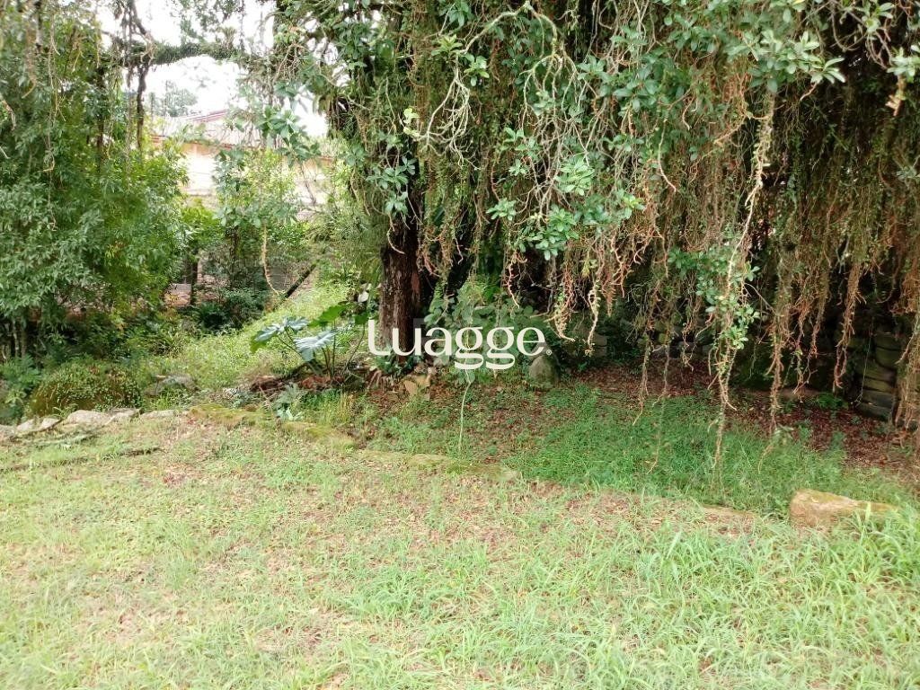 Sítio à venda com 3 quartos, 300m² - Foto 27