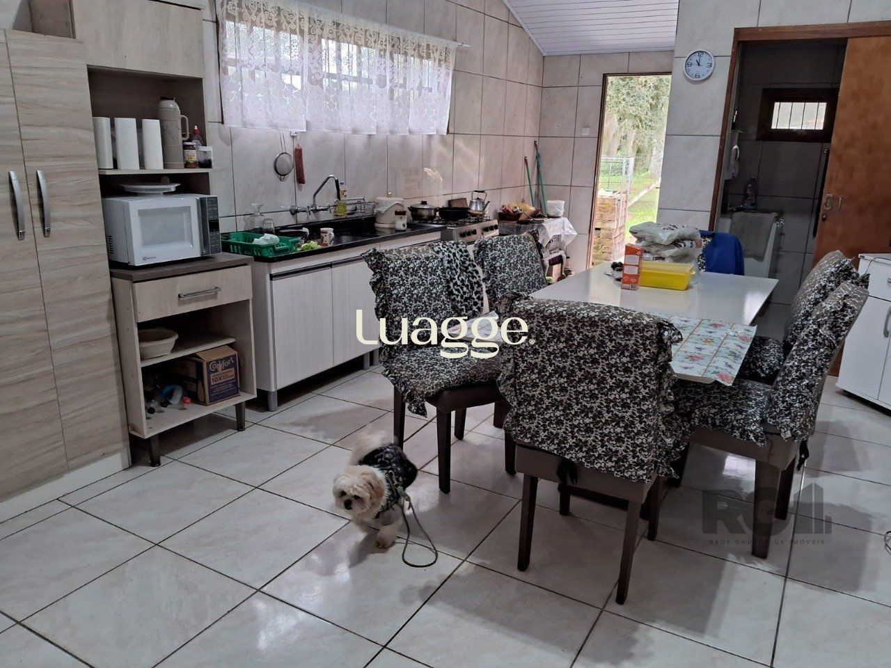 Sítio à venda com 2 quartos, 20011m² - Foto 5