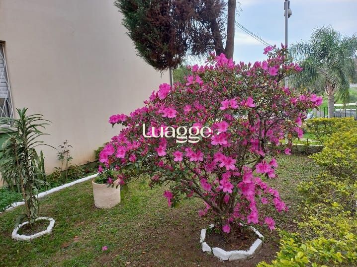 Apartamento à venda com 2 quartos, 53m² - Foto 29