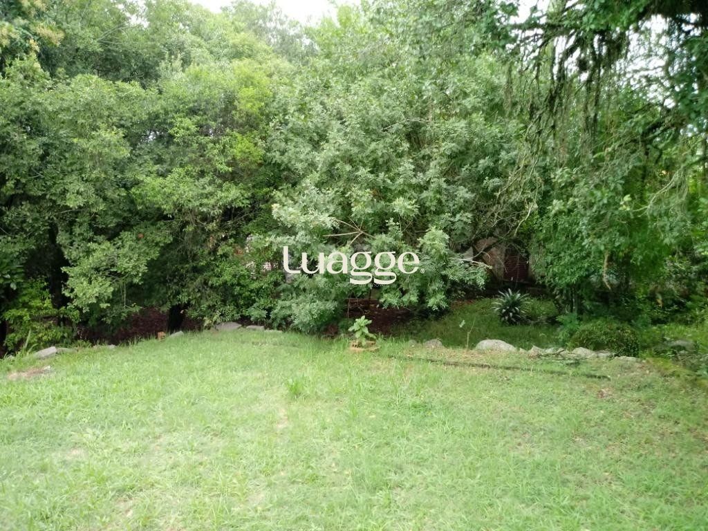 Sítio à venda com 3 quartos, 300m² - Foto 26
