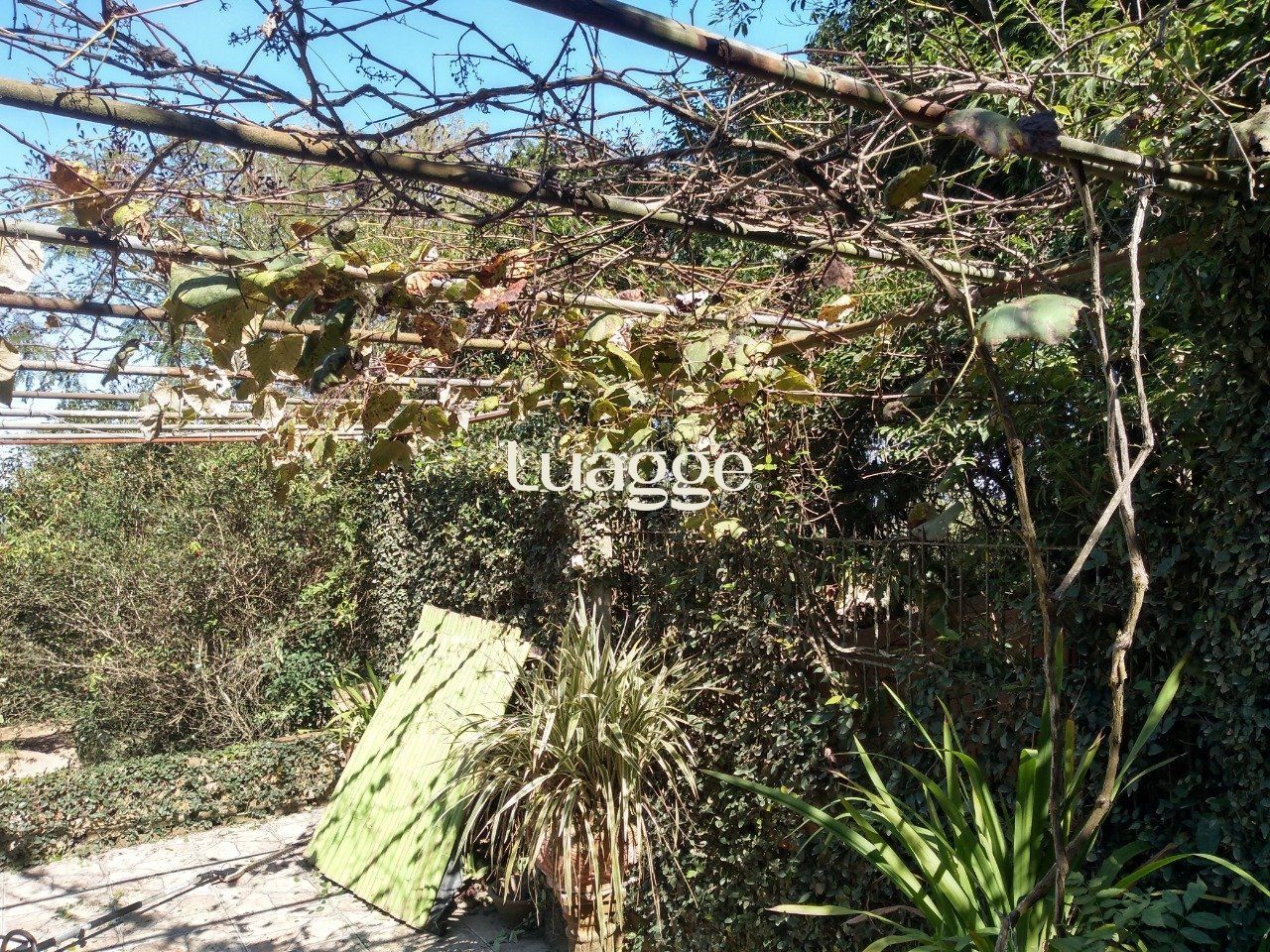 Sítio à venda com 13 quartos, 6662m² - Foto 8