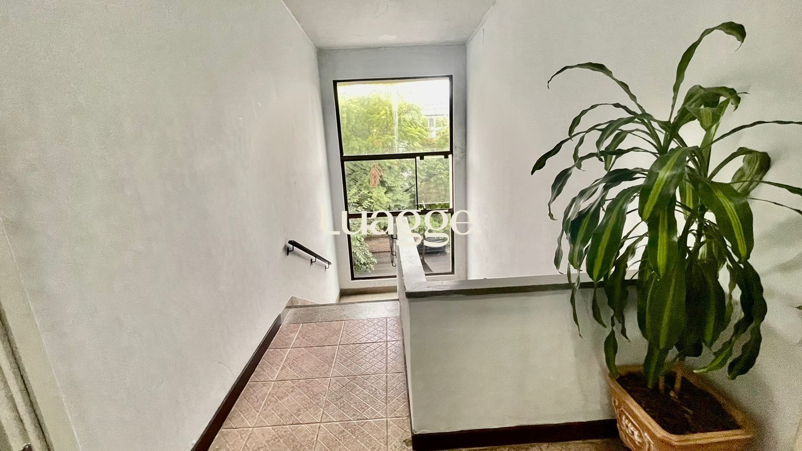 Apartamento à venda com 2 quartos, 75m² - Foto 3
