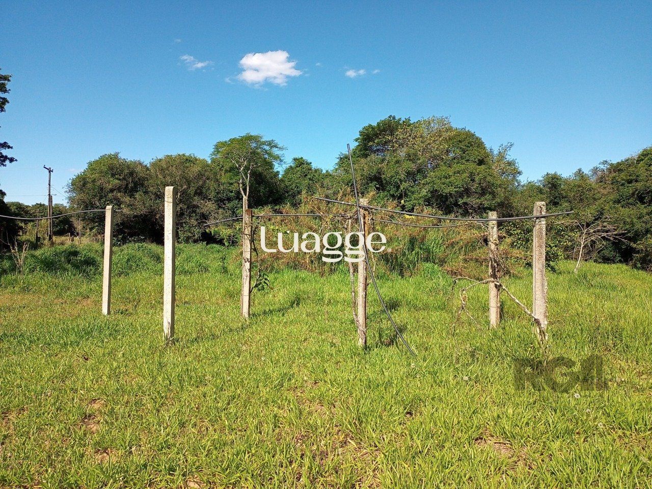 Sítio à venda com 2 quartos, 20011m² - Foto 60