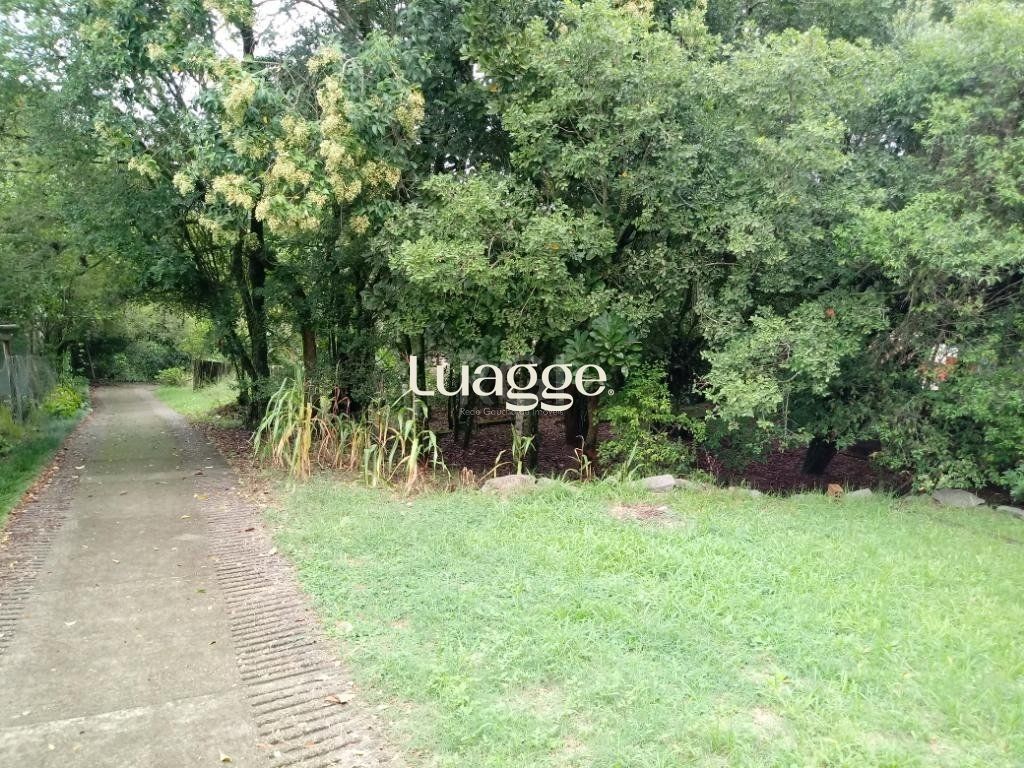 Sítio à venda com 3 quartos, 300m² - Foto 28