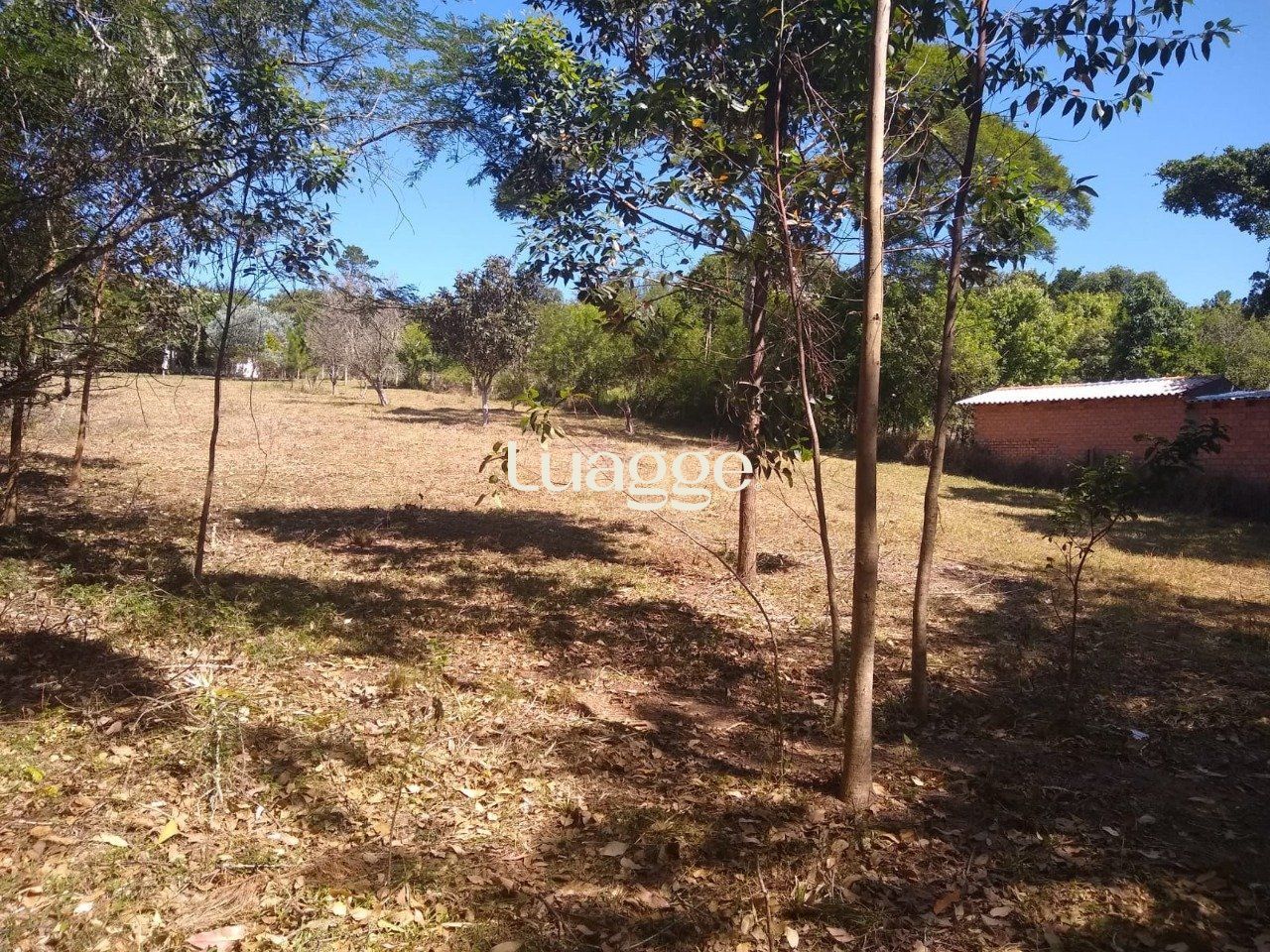 Sítio à venda com 3 quartos, 3961m² - Foto 12