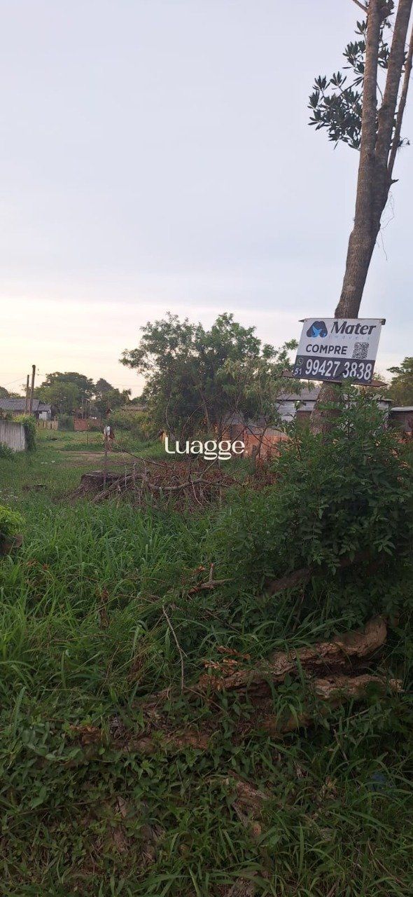 Terreno, 301 m² - Foto 35