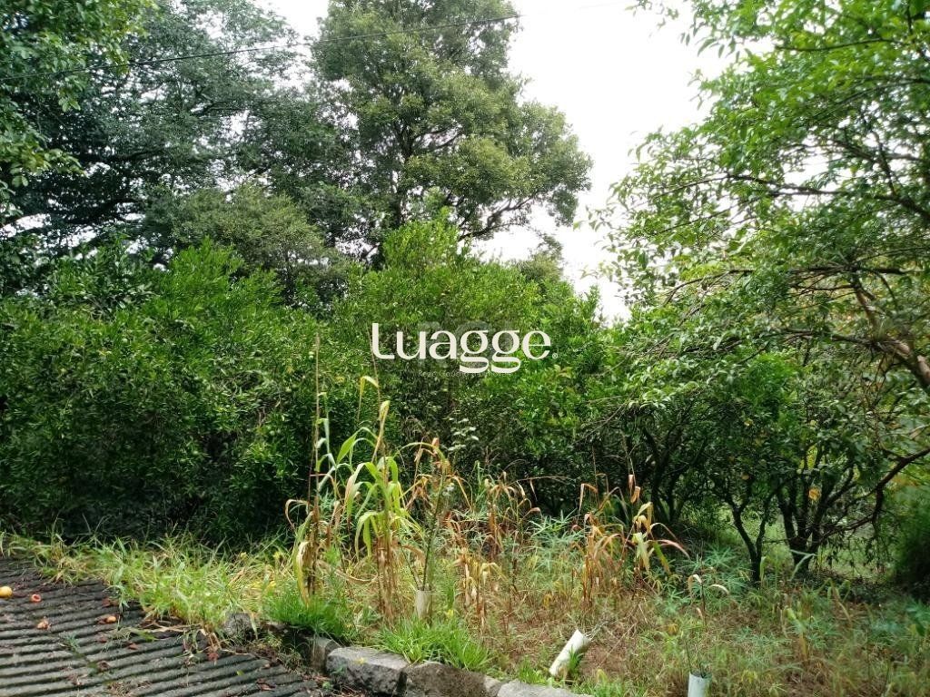 Sítio à venda com 3 quartos, 300m² - Foto 23