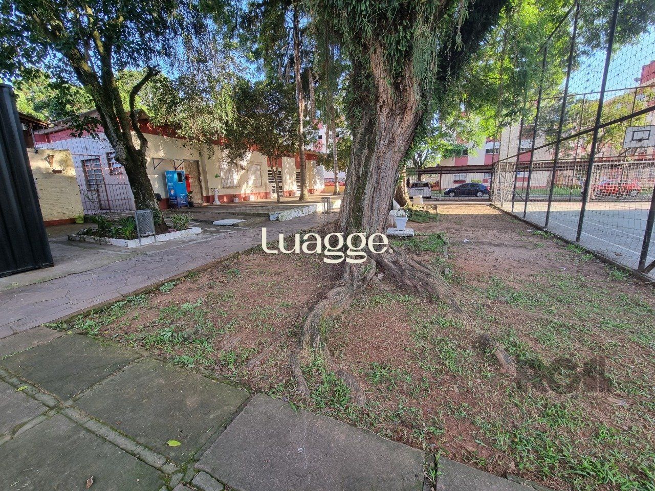 Apartamento à venda com 3 quartos, 60m² - Foto 5