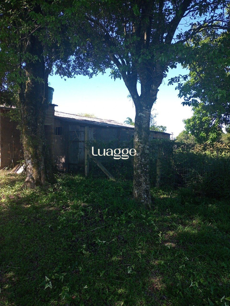 Sítio à venda com 2 quartos, 20011m² - Foto 45