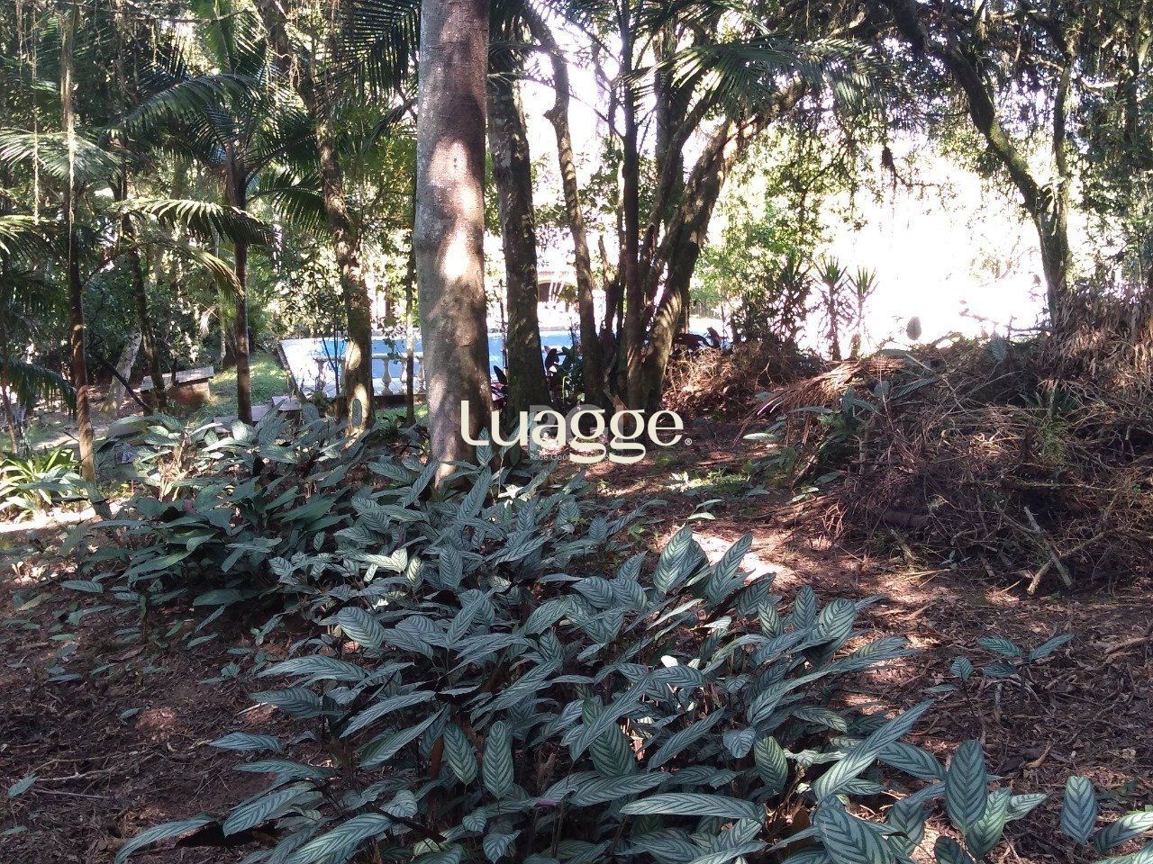 Terreno à venda, 6662m² - Foto 82