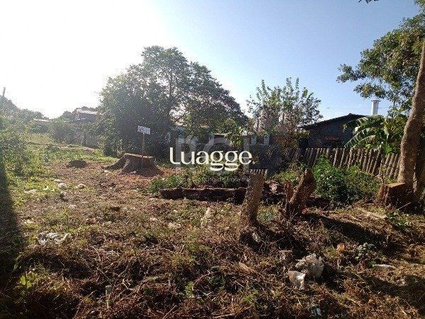 Terreno, 301 m² - Foto 6