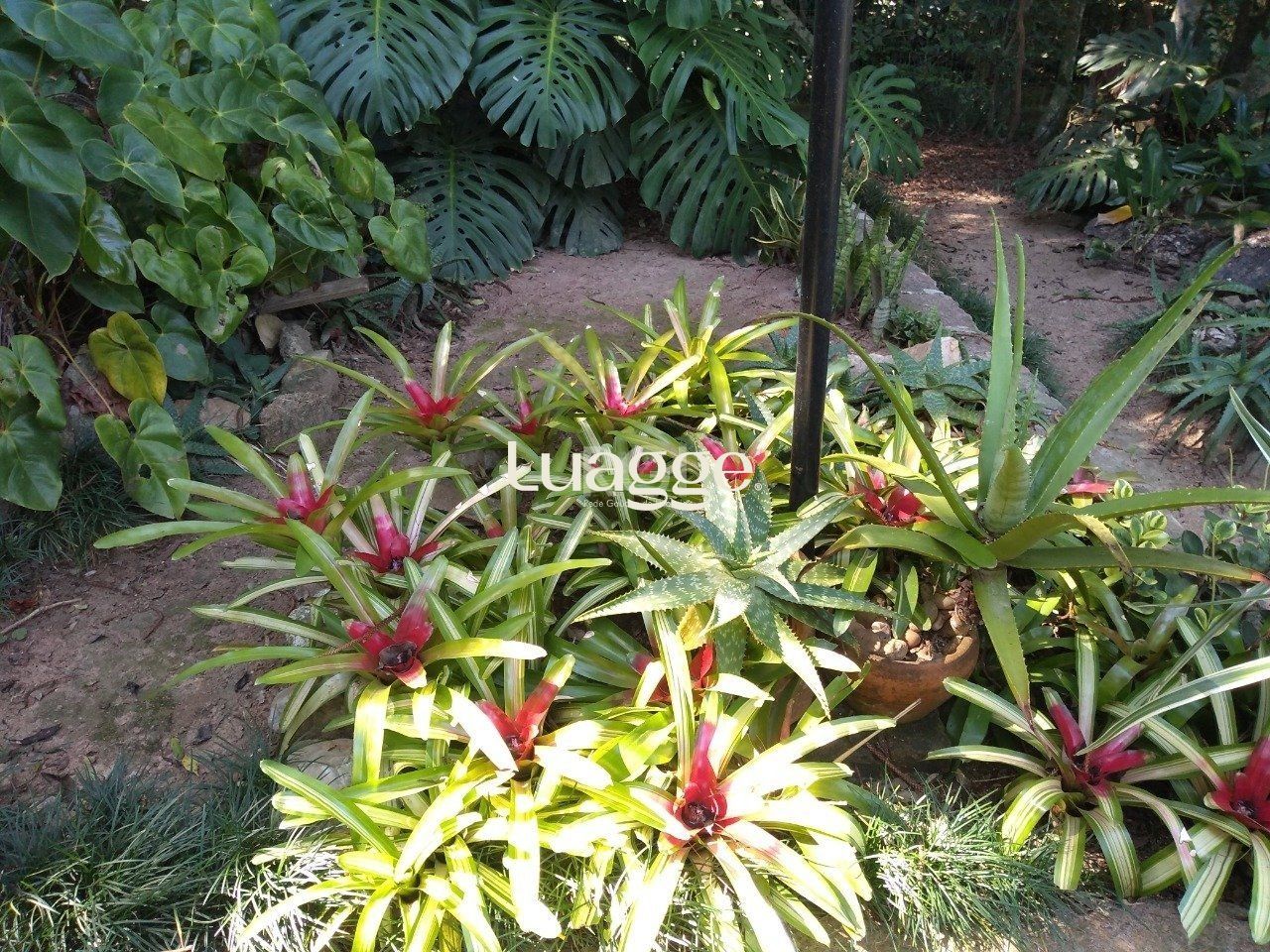 Terreno à venda, 6662m² - Foto 19