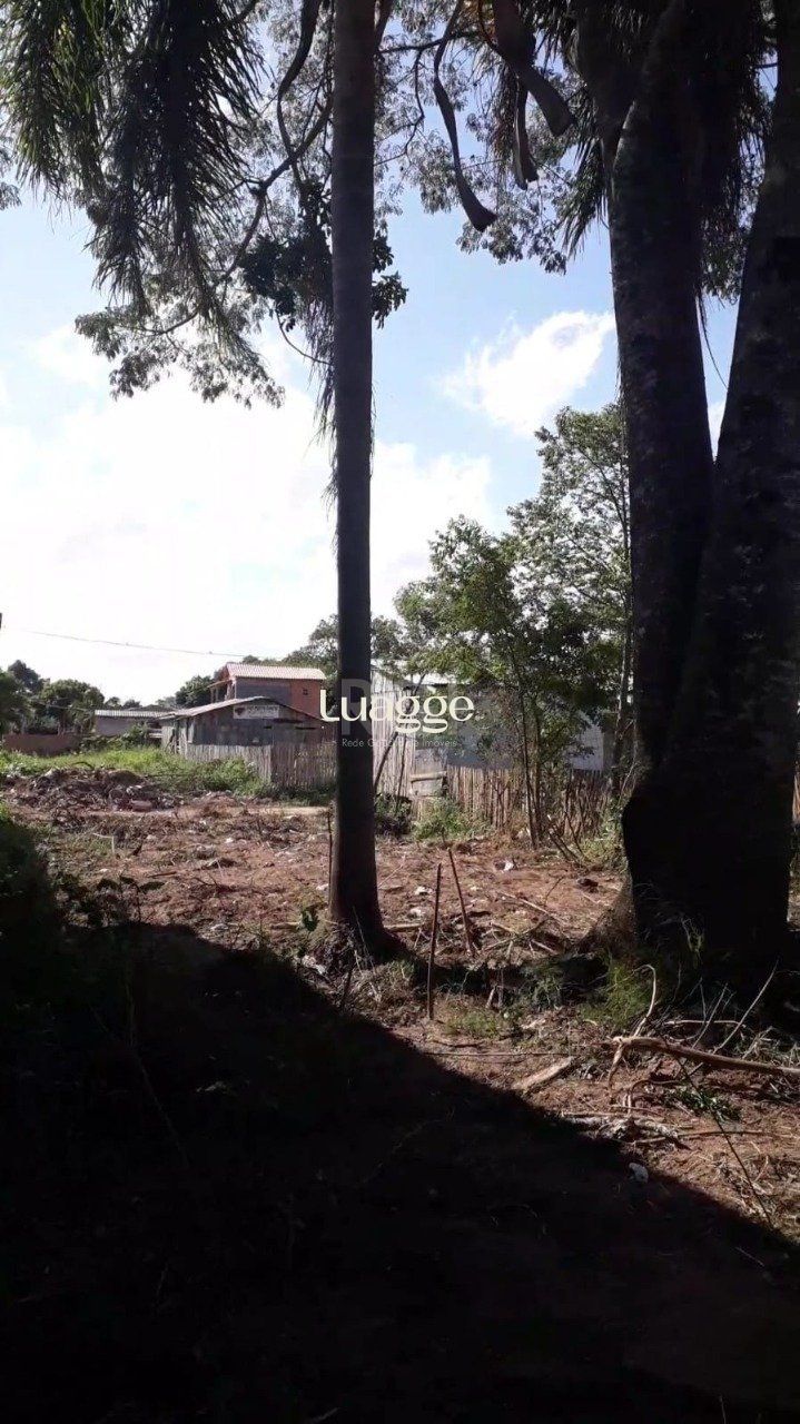 Terreno, 301 m² - Foto 27