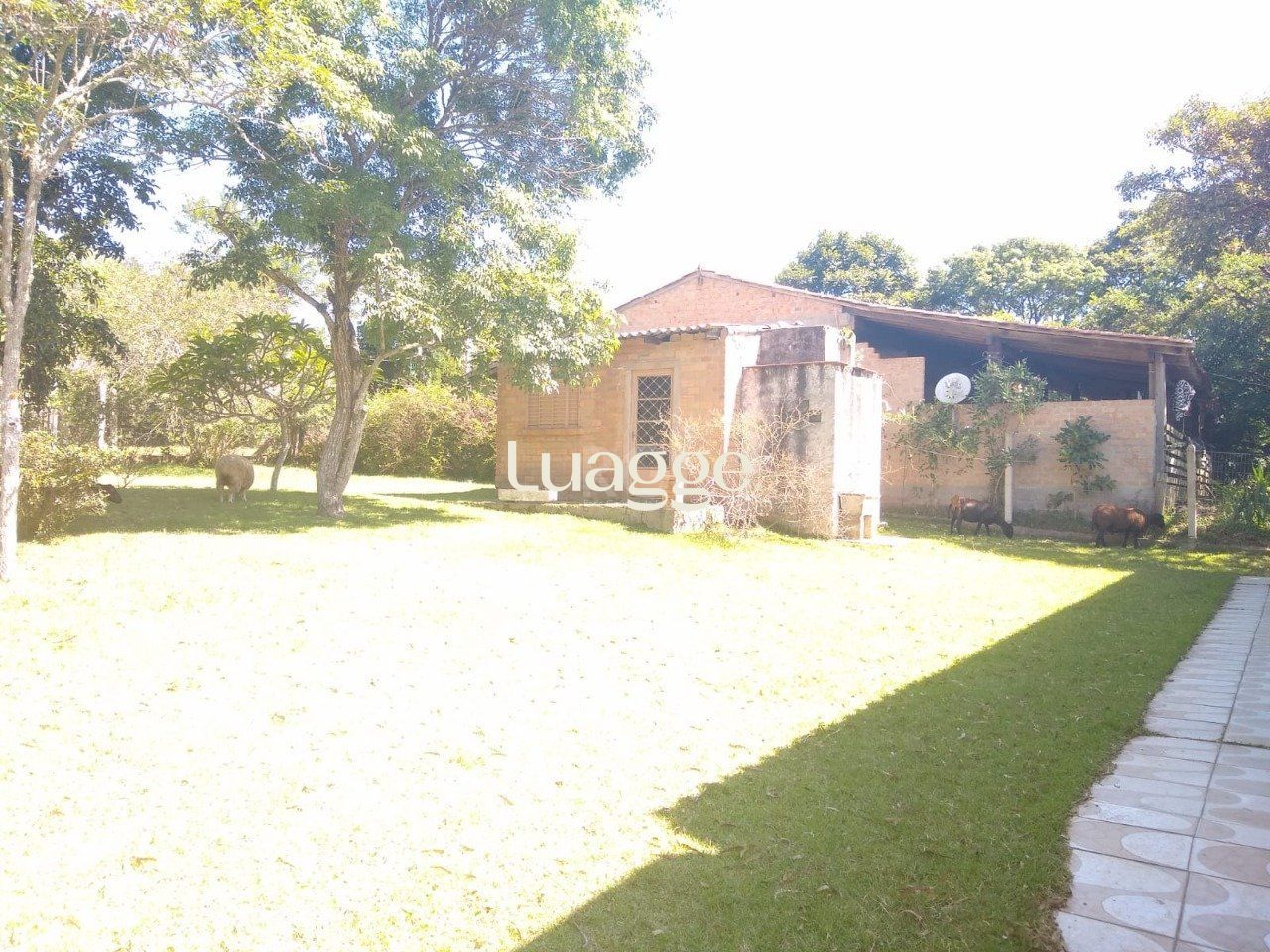 Sítio à venda com 3 quartos, 3961m² - Foto 7