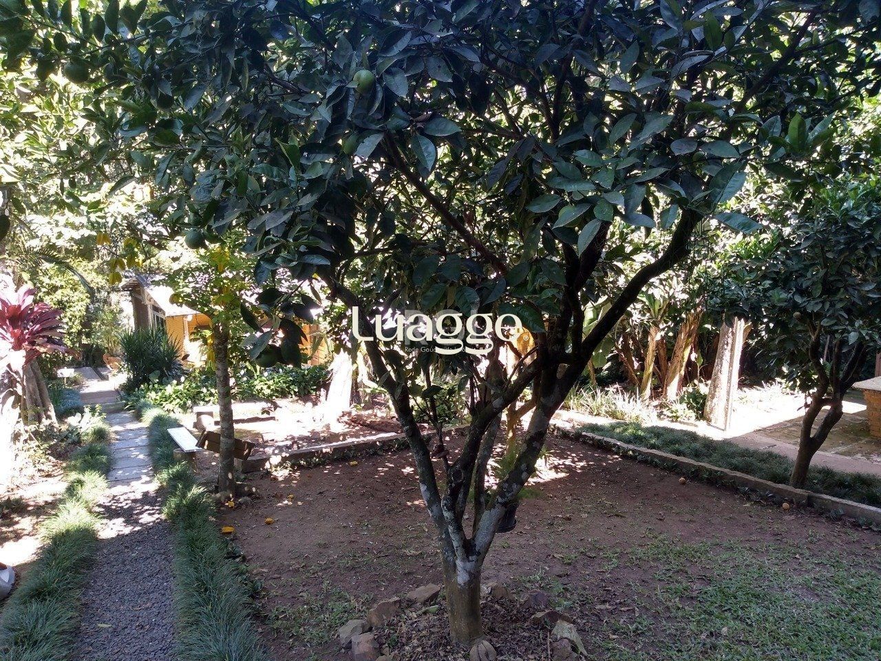 Terreno à venda, 6662m² - Foto 36