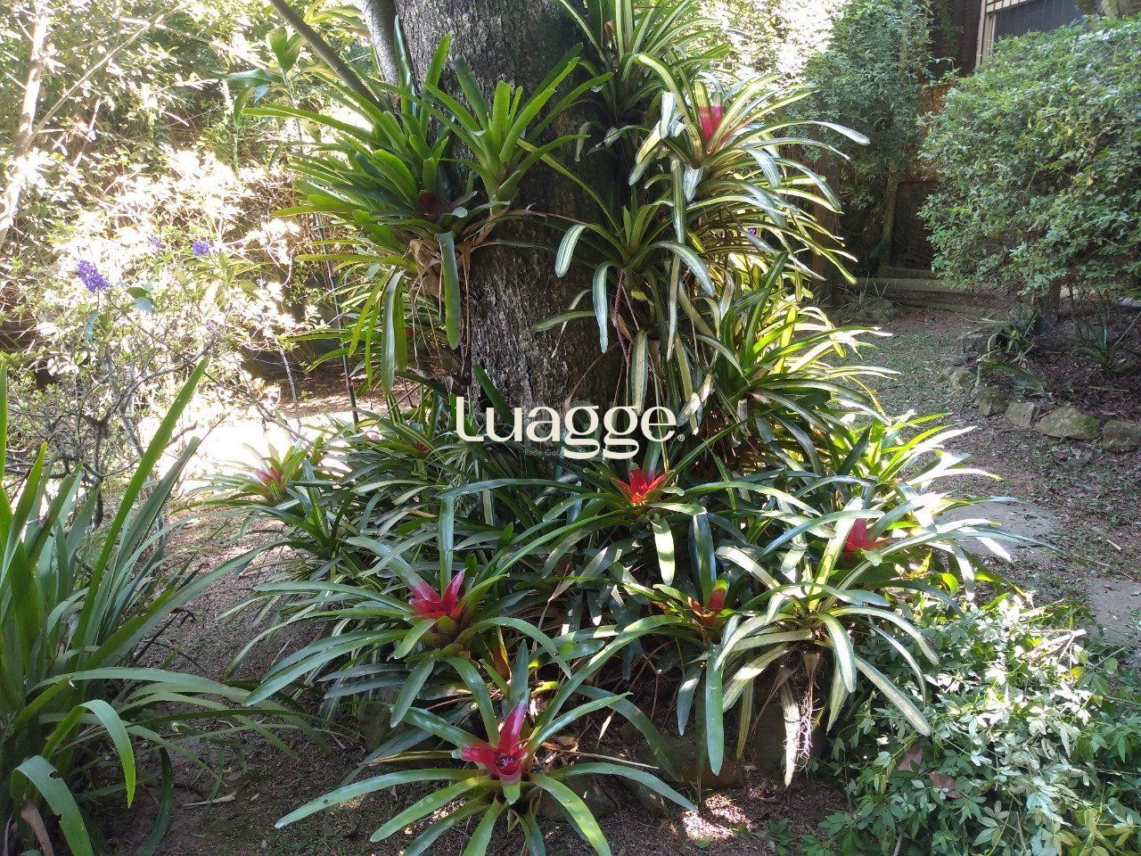 Sítio à venda com 13 quartos, 6662m² - Foto 7