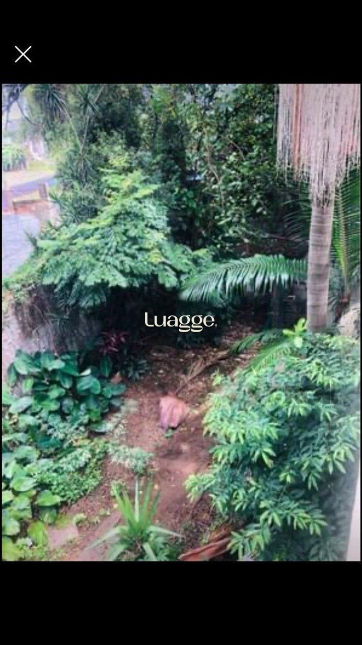 Casa à venda com 4 quartos, 359m² - Foto 19