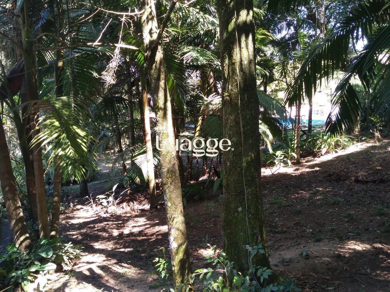 Terreno à venda, 6662m² - Foto 1