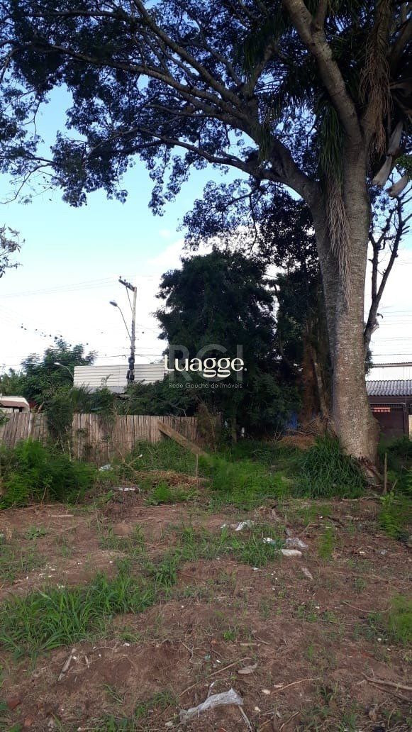 Terreno, 301 m² - Foto 21