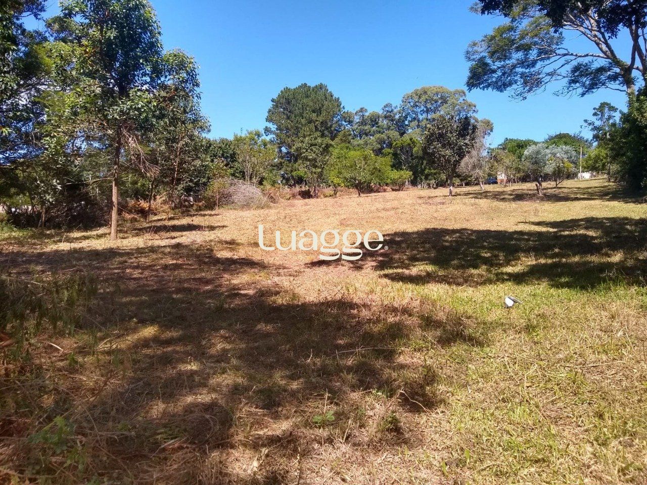 Sítio à venda com 3 quartos, 3961m² - Foto 16