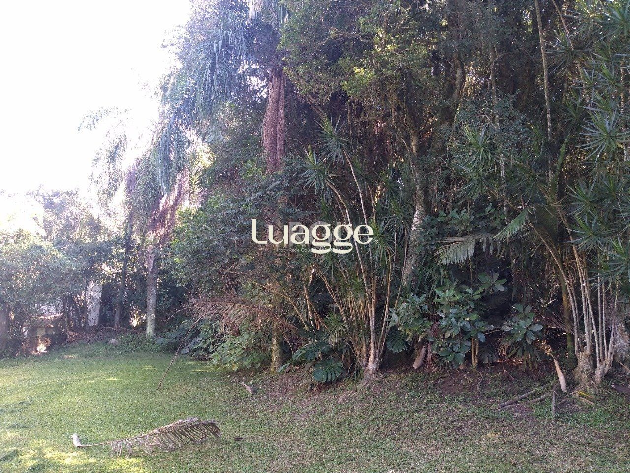 Terreno à venda, 6662m² - Foto 6