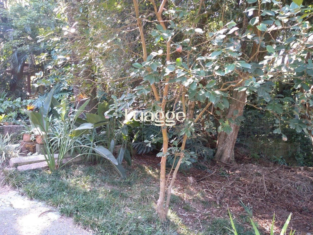 Terreno à venda, 6662m² - Foto 18