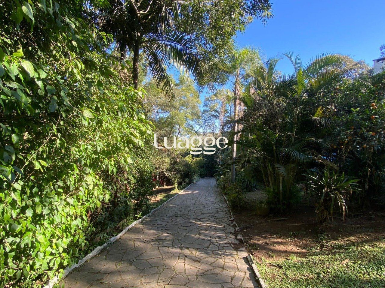 Sítio à venda com 1 quarto, 200m² - Foto 30
