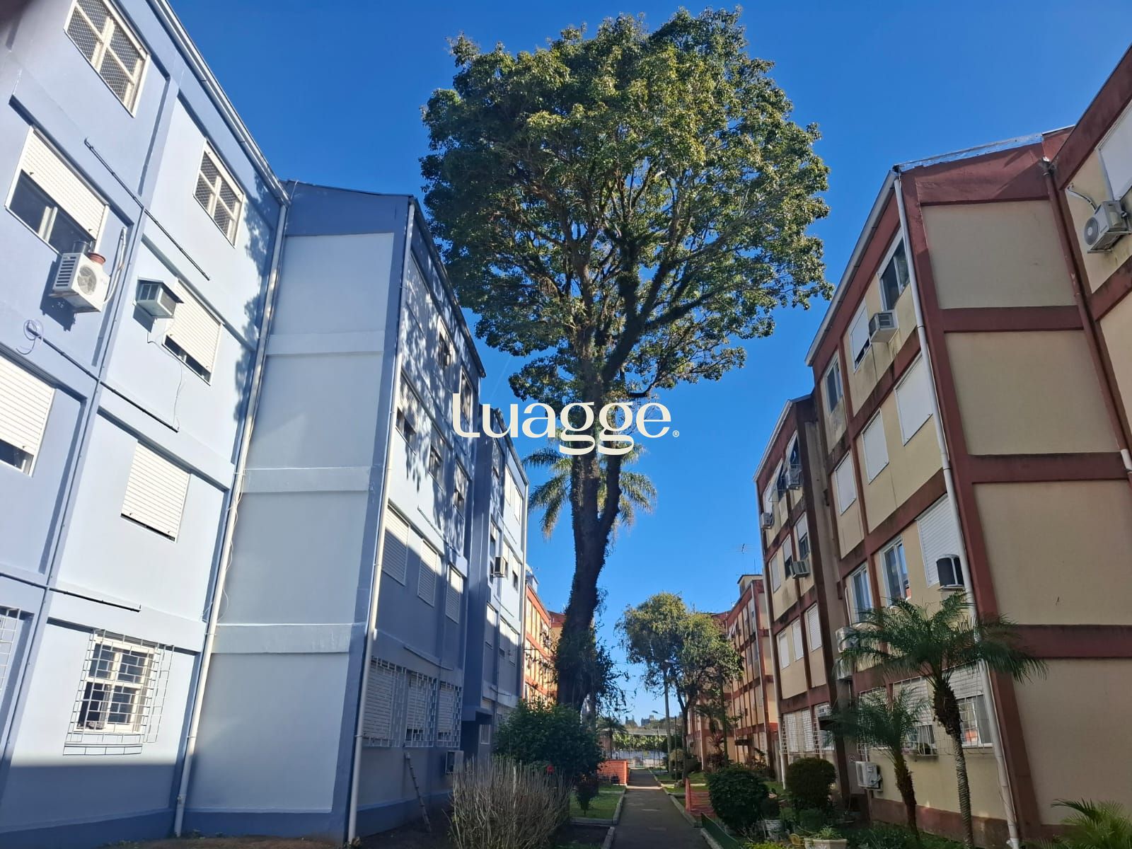 Apartamento de 02 dormitórios no Bairro Camaquã em Porto Alegre- RS