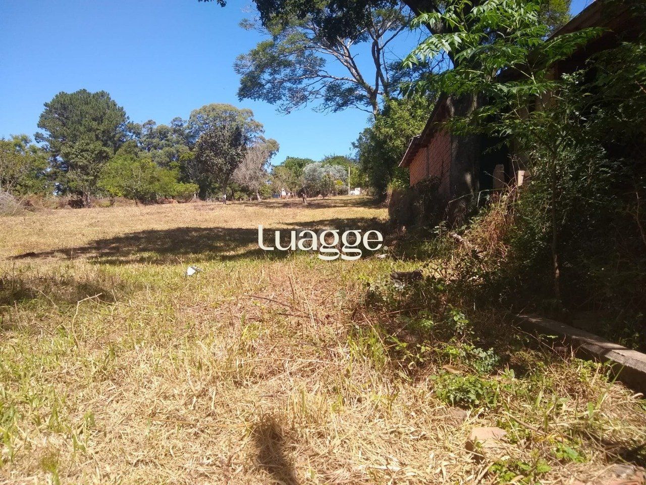 Sítio à venda com 3 quartos, 3961m² - Foto 14