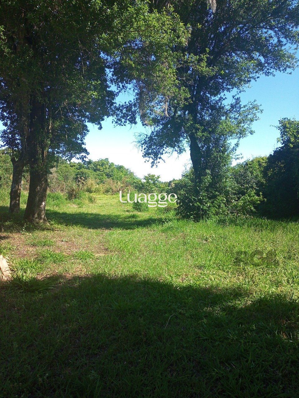 Sítio à venda com 2 quartos, 20011m² - Foto 87