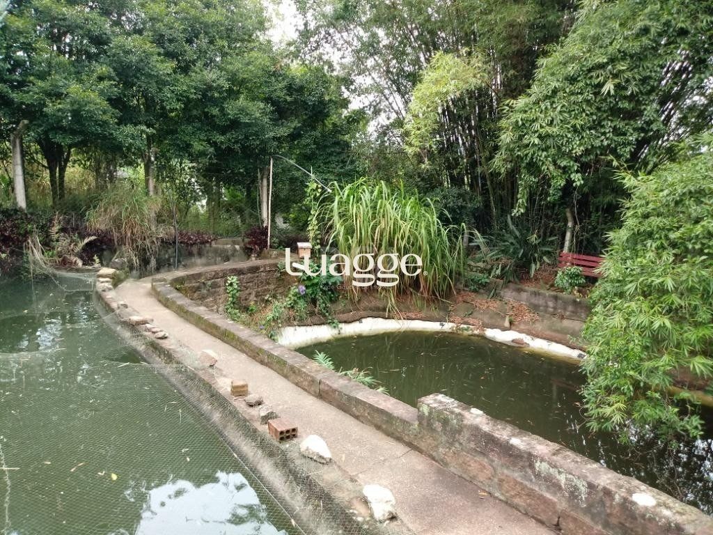 Sítio à venda com 3 quartos, 300m² - Foto 11