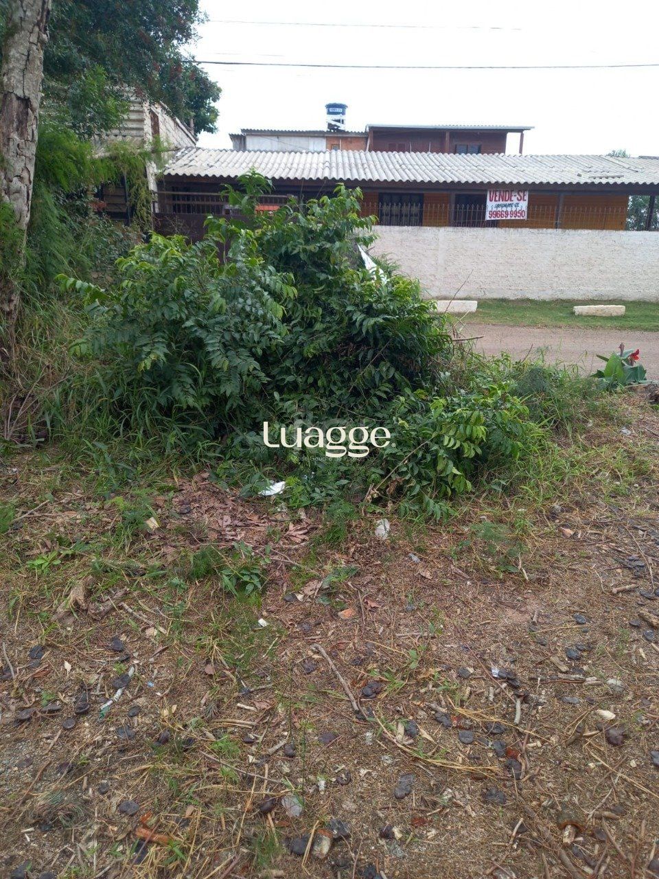 Terreno, 301 m² - Foto 5