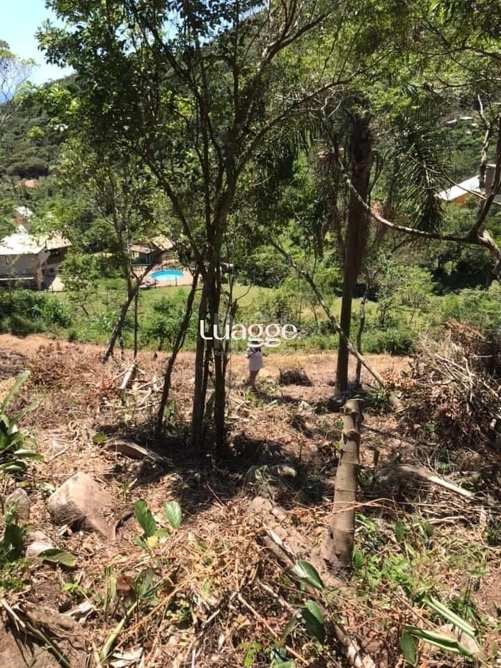 Terreno, 974 m² - Foto 3