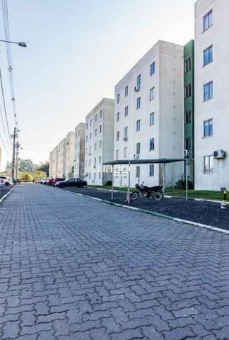 Apartamento, 2 quartos, 39 m² - Foto 7