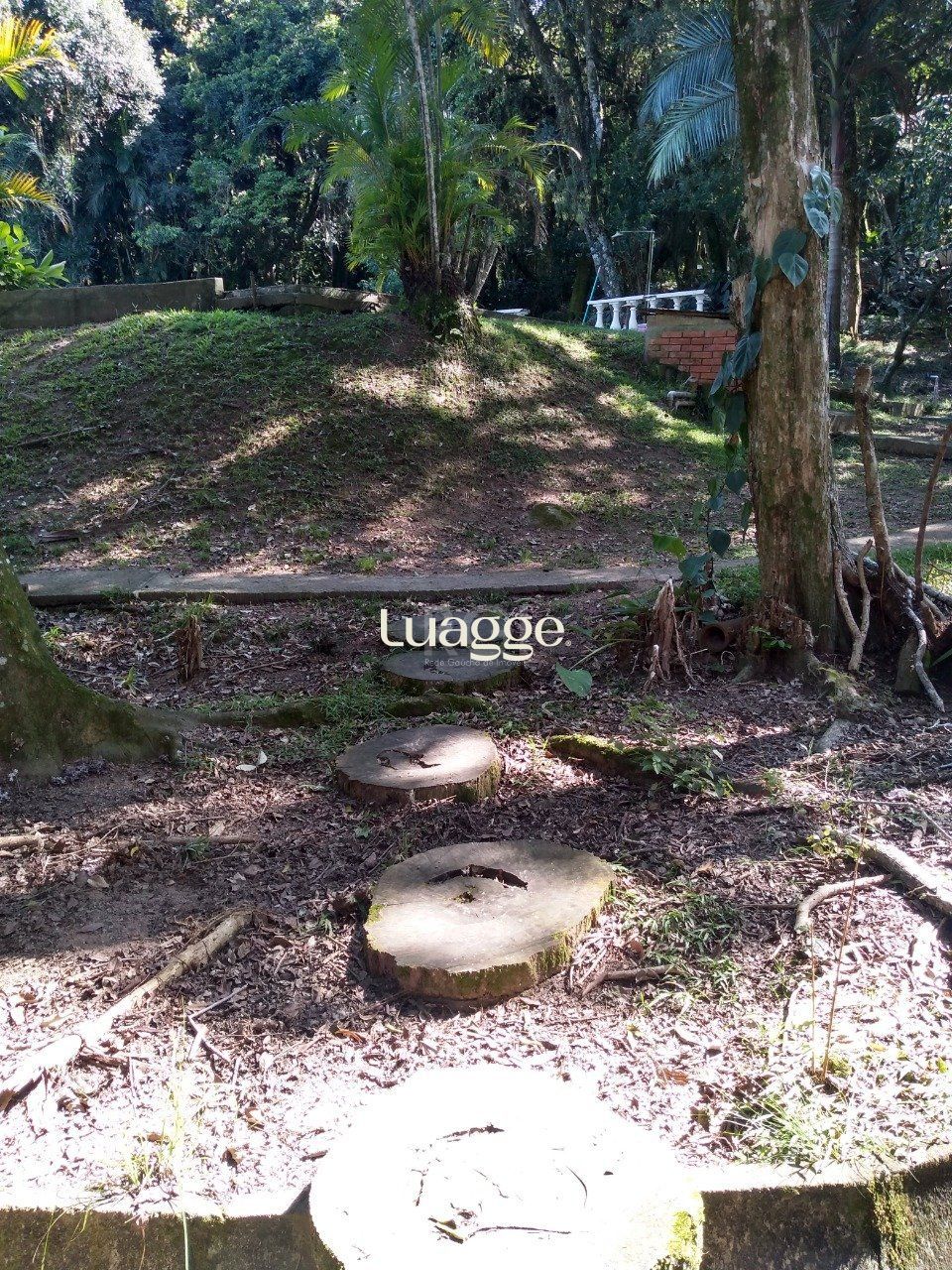 Sítio à venda com 13 quartos, 6662m² - Foto 29