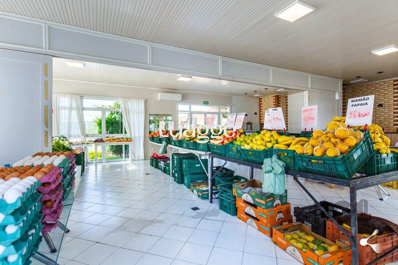 Apartamento à venda com 3 quartos, 73m² - Foto 29