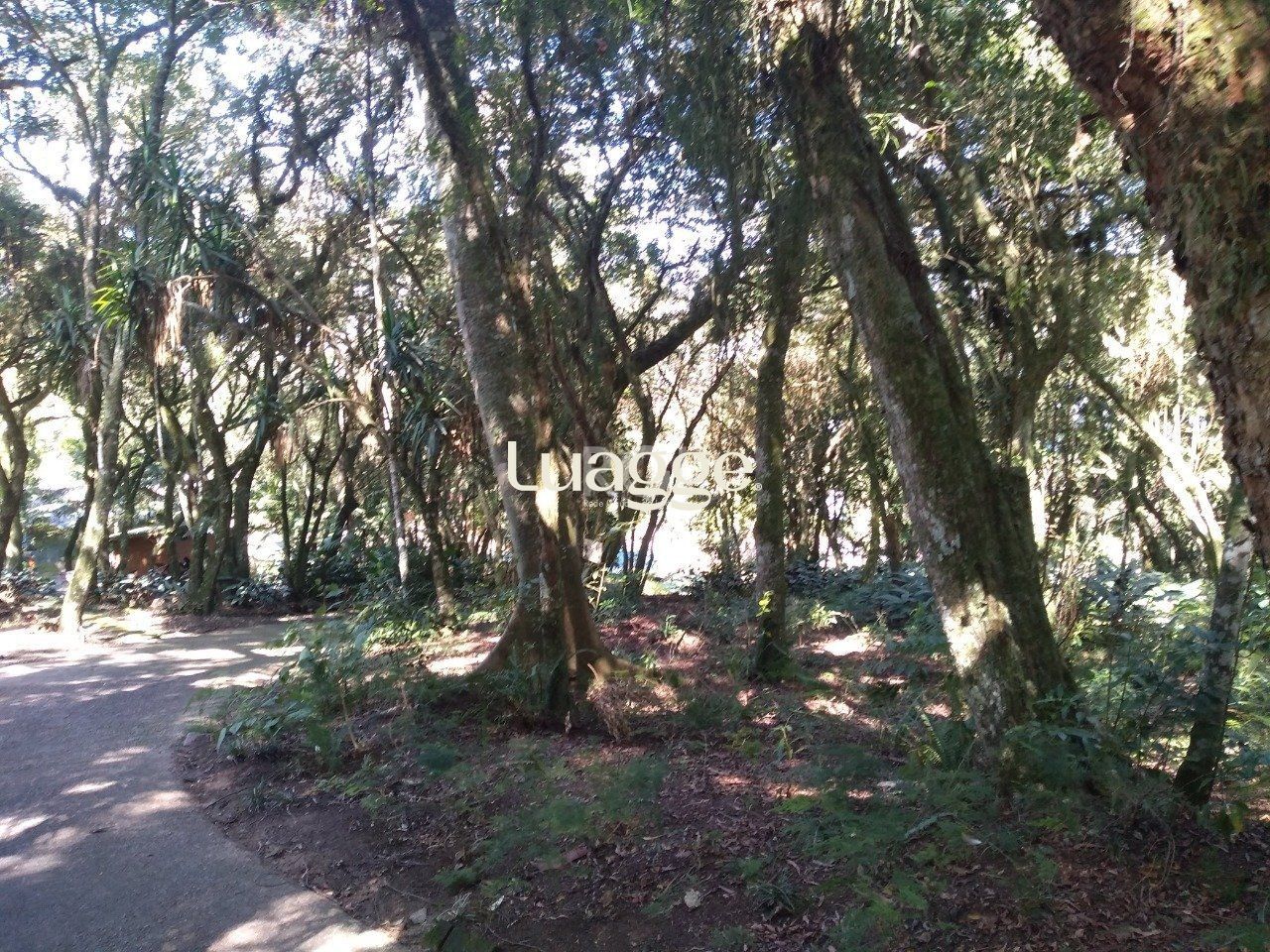 Terreno à venda, 6662m² - Foto 107