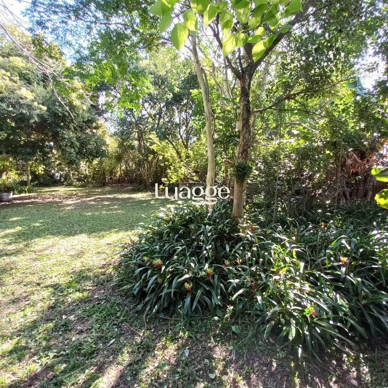 Terreno à venda, 521m² - Foto 7