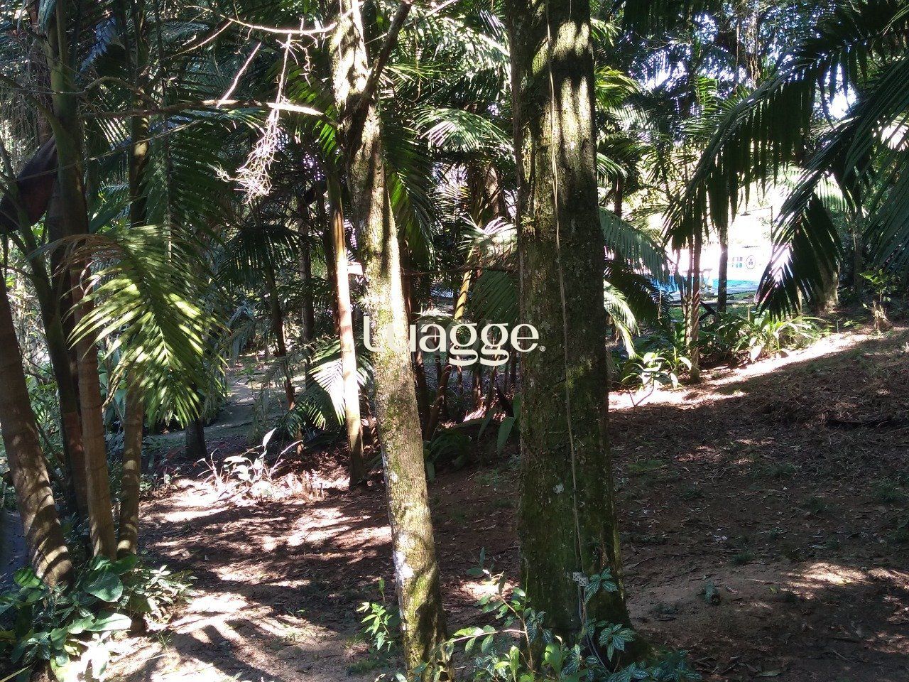 Sítio à venda com 13 quartos, 6662m² - Foto 83